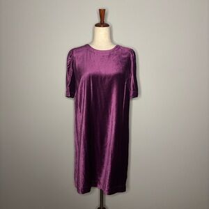 NWT $129 J.Jill Sugar Beet Velvet Shift Dress size SP